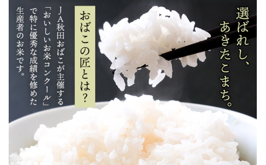 玄米】《定期便3ヶ月》令和6年産 新米予約 仙北市産 おばこの匠 10kg（5kg×2袋）×3回 計30kg 秋田県産あきたこまち 秋田こまち お米  3か月 3ヵ月 3カ月 3ケ月 - 秋田県仙北市｜ふるさとチョイス - ふるさと納税サイト