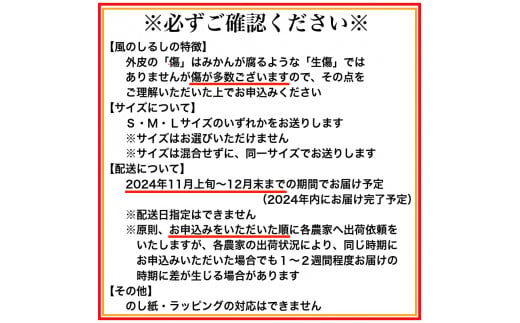 和歌山県有田市のふるさと納税 有田みかん「風のしるし」（10kg）(A241-1)