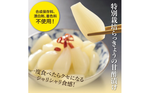 0058 特別栽培らっきょうの甘酢漬(6袋セット) 476708 - 鳥取県鳥取市