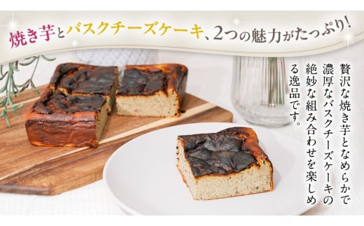 八千代町産 紅はるか 使用 焼き芋 バスクチーズケーキ 1個 と 冷凍 