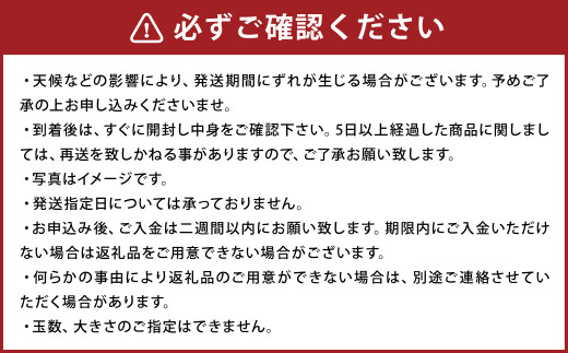 小玉スイカ 3Lサイズ以上 2玉入り 益城町