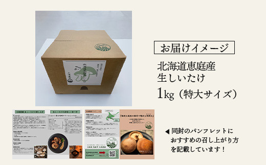 【先行予約】《数量限定》北海道恵庭産生しいたけ1kg（特大サイズ）