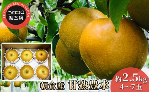 梨 豊水 まるで食べる梨ジュース！！ 甘熟 豊水梨 約2.5kg 4～7玉入 配送不可 離島