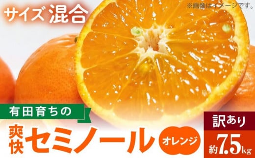 AB7105n_（先行予約）有田育ちの爽快 セミノール オレンジ 【訳あり 家庭用】7.5kg