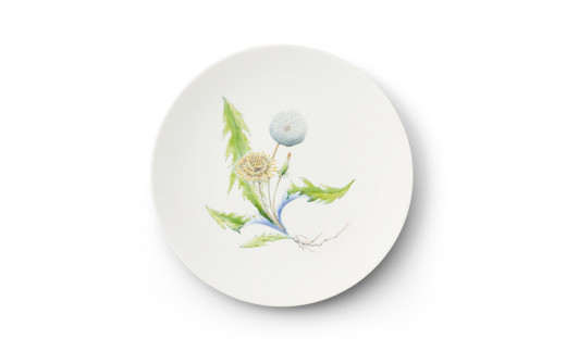 [伊万里焼/畑萬陶苑]Restaurant MAISON(Paris)φ23.5cm Plate[Dandelion]