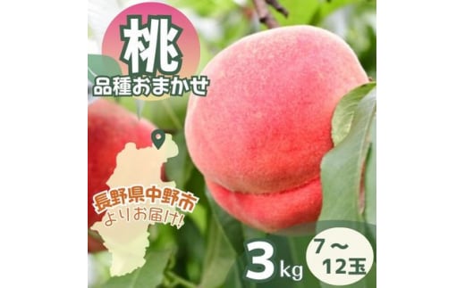 桃 品種おまかせ 3kg【1511058】 1351129 - 長野県中野市