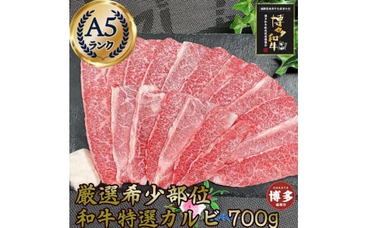 希少部位厳選！特選カルビ 博多和牛 A5 700g