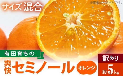 AB7104n_（先行予約）有田育ちの爽快 セミノール オレンジ（訳あり 家庭用）5kg 