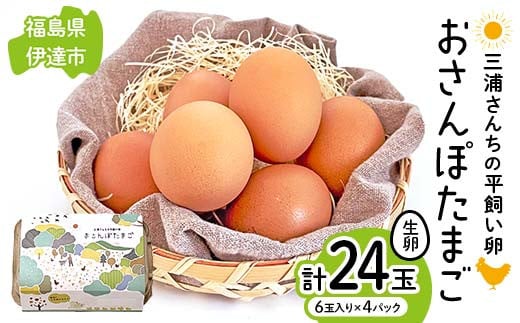 三浦さんちの平飼い卵 おさんぽたまご 計24玉 伊達市 福島県 国産 養鶏場直送 卵 たまご 玉子 生卵 鶏卵 F20C-950