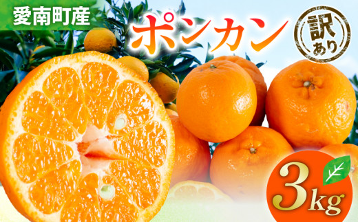 [ 2026年 先行予約 ] 訳あり ポンカン 3kg サイズミックス 送料無料 7000円 柑橘 みかん 蜜柑 家庭用 フルーツ 果物 規格外 不揃い キズ わけあり 甘い 濃厚 ジューシー お取り寄せ グルメ 冬の味覚 ジュース スムージー ジャム お菓子 作り マーマレード スイーツ 作り 旬の果物 農家直送 ビタミンC 予約受付 サイズ不揃い 愛媛県 愛南町 清家ばんかんビレッジ