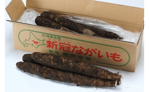 新冠 町 産 野菜 土 付き 長 いも ( 約 6 kg ) 1349849 - 北海道新冠町