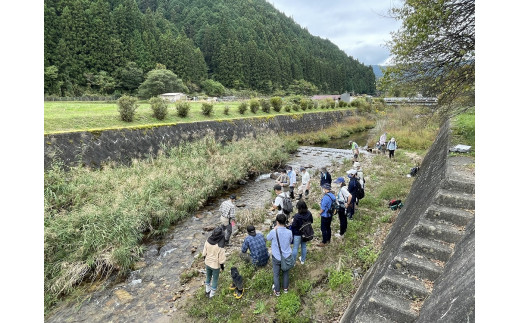 ワクワクドキドキ！津具金山砂金採取体験(1組5名様まで) - 愛知県設楽町｜ふるさとチョイス - ふるさと納税サイト