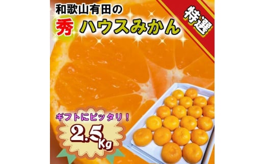 特撰品！和歌山有田の「ハウスみかん」【赤秀】約2.5kg 化粧箱入り（5月以降発送）【NGT3w】 1351822 - 和歌山県由良町