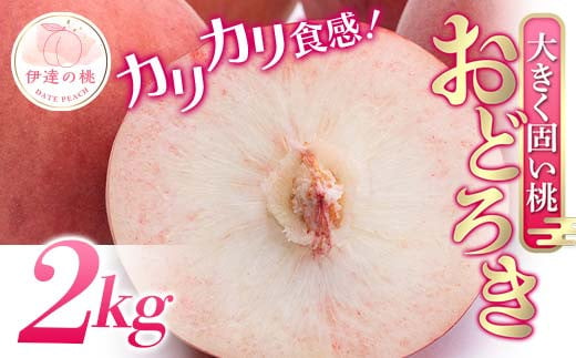 福島県産 おどろき 約2kg 2024年8月上旬～2024年8月中旬発送 先行予約 予約 固め 固い 伊達の桃 桃 もも モモ 果物 くだもの フルーツ 国産 食品 F20C-496