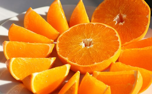 「柑橘の大トロ」 せとか 先行予約 数量限定 約3kg オレンジ 柑橘 くだもの 果物 フルーツ (554) [2025年2月下旬発送予定]