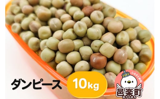 ダンピース 10kg サイトウ・コーポレーション 飼料 981163 - 群馬県邑楽町