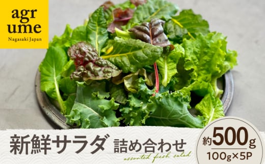 水耕栽培 新鮮サラダ野菜の詰め合わせセット 約100g×5袋 長与町/アグリューム [EAI136]