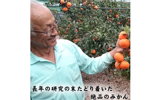 12月発送】吉田みかん園の樹上完熟みかん 5kg - 佐賀県NPO支援｜ふるさとチョイス - ふるさと納税サイト