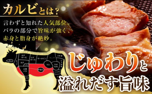 BBU010 【長崎和牛】 焼肉用カルビ 500g 【BBQに最適！】-3