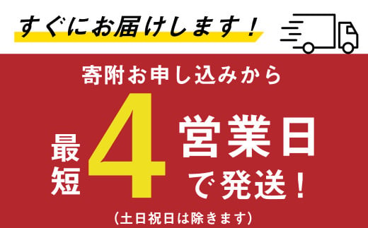 B－２６ サッポロ 生ビール 黒ラベル 350ml 缶 24本入り セット ビール