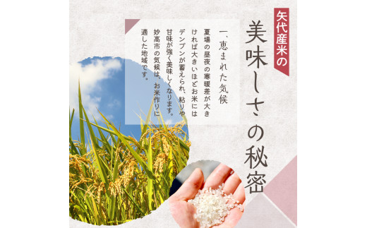 新潟県妙高市のふるさと納税 【2024年10月上旬発送】【定期便】令和6年産 新潟県矢代産コシヒカリ2kg×6回（計12kg）