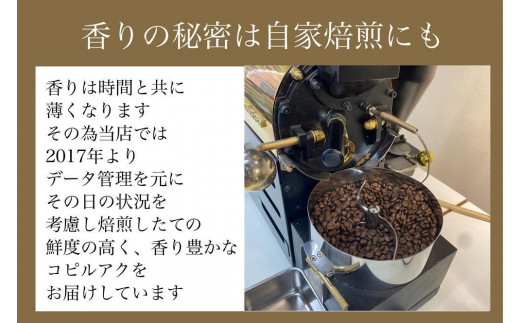 最高級コーヒー コピルアク 100g【豆状】 - 大阪府堺市｜ふるさとチョイス - ふるさと納税サイト