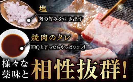 BBU010 【長崎和牛】 焼肉用カルビ 500g 【BBQに最適！】-5