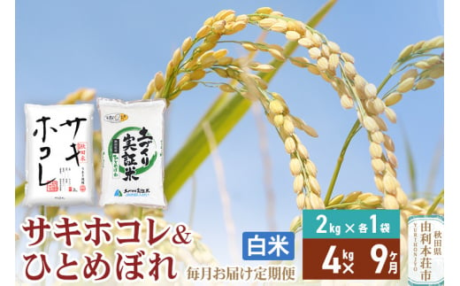 《定期便9ヶ月》【白米】令和6年産 サキホコレ2kg・土づくり実証米ひとめぼれ2kg (計4kg) ×9回 計36kg 精米 特A評価米 秋田県産 1352436 - 秋田県由利本荘市