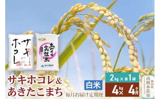 《定期便4ヶ月》【白米】令和6年産 サキホコレ2kg・土づくり実証米あきたこまち2kg (計4kg) ×4回 計16kg 精米 特A評価米 秋田県産 1352418 - 秋田県由利本荘市