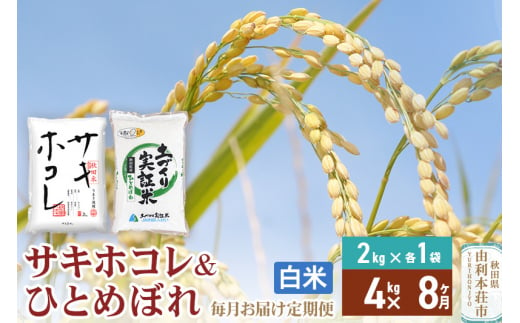 《定期便8ヶ月》【白米】令和6年産 サキホコレ2kg・土づくり実証米ひとめぼれ2kg (計4kg) ×8回 計32kg 精米 特A評価米 秋田県産 1352435 - 秋田県由利本荘市