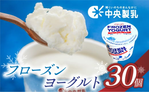 中央製乳 フローズンヨーグルト 30個  高評価 スイーツ アイス アイスクリーム ヨーグルト 