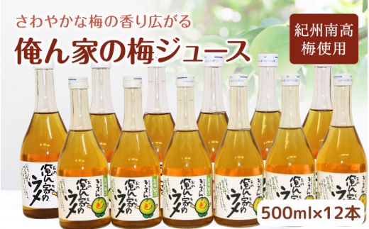 俺ん家の梅ジュース500ml×12本セット / 和歌山 和歌山県産 田辺市 紀州南高梅 南高梅 梅 梅ジュース なつかしい【ktr017】 1354045 - 和歌山県田辺市