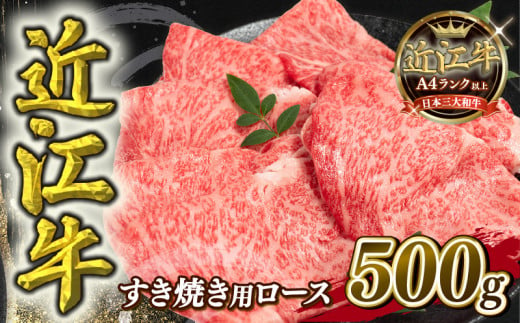 【10月発送】  近江牛 すき焼き用 ロース 500g 【冷蔵配送】 A4 ～ A5 黒毛和牛 ブランド 肉 近江牛 三大和牛 すき焼き すきやき 好き焼き しゃぶしゃぶ すきしゃぶ 贈り物 ギフト 滋賀県 竜王町 岡喜 1424562 - 滋賀県竜王町