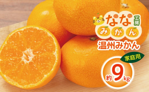 【 家庭用 】  温州みかん 9kg | フルーツ 果物 くだもの 柑橘 柑橘類 みかん ミカン 温州みかん 温州ミカン 熊本県 玉名市