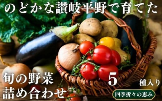 旬の野菜詰め合わせセット 1387158 - 香川県香川県庁