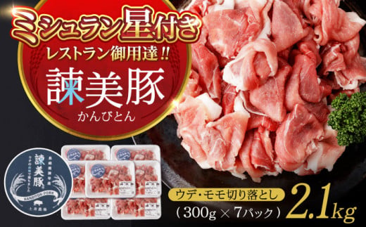 肉のお礼の品 | Vふるさと納税