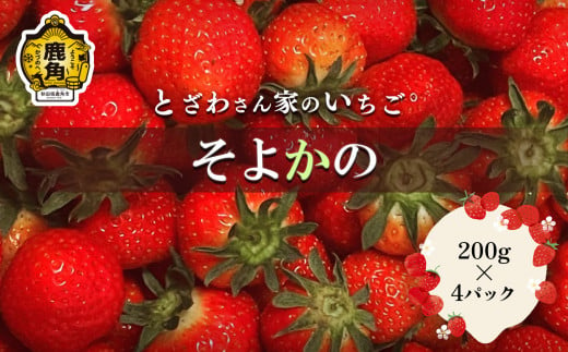 完熟いちご「そよかの」200g×4パック【とざわさん家のいちご】