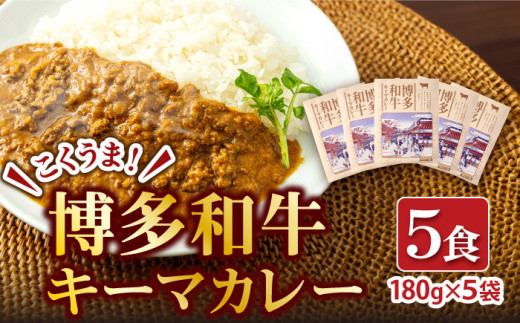 博多和牛キーマカレー5食！キーマカレー