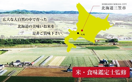 【予約】令和6年産【定期便(10kg×4カ月)】北海道産ゆめぴりか＆ななつぼしセット 10kg(各5kg)  【1602901】