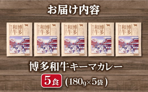 博多和牛キーマカレー5食！キーマカレー