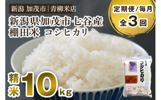 【令和6年産新米】【定期便3回毎月お届け】新潟産コシヒカリ 加茂市七谷産 棚田米 精米10kg（5kg×2）白米 真空パック 青柳米店 定期便 1013820 - 新潟県加茂市