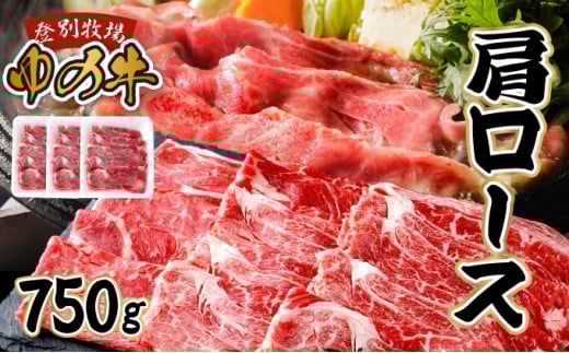 登別産国産牛ブランド【登別牧場ゆの牛(うし)】 肩ロース 750g