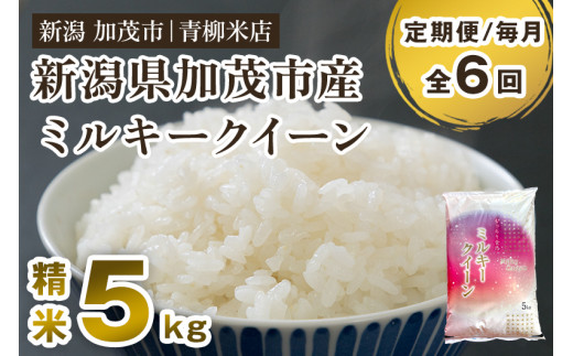 【令和6年産米】【定期便6ヶ月毎月お届け】新潟県央地区 ミルキークイーン 精米5kg 新潟米 新潟産 お米  白米 加茂市 青柳米店 1013854 - 新潟県加茂市