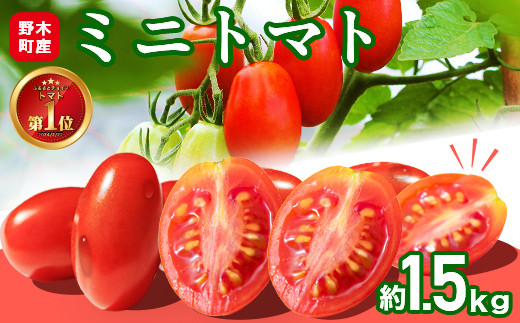 T02 栃木県野木町産ミニトマト小箱（約1.5kg）
