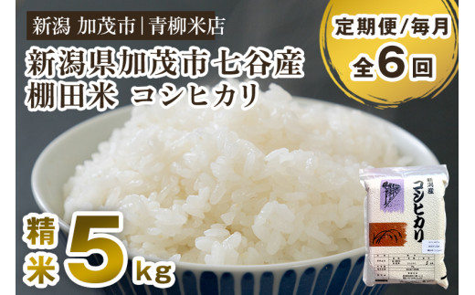 【令和6年産新米】【定期便6ヶ月毎月お届け】新潟産コシヒカリ 加茂市七谷産 棚田米 精米5kg 白米 真空パック 青柳米店 定期便 1013804 - 新潟県加茂市