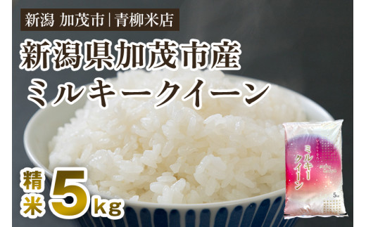 【令和6年産新米】新潟県央地区 ミルキークイーン 精米5kg 新潟米 新潟産 お米  白米 加茂市 青柳米店 232659 - 新潟県加茂市