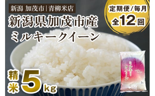 【令和6年産新米先行予約】【定期便12ヶ月毎月お届け】新潟県央地区 ミルキークイーン 精米5kg 新潟米 新潟産 お米  白米 加茂市 青柳米店 1013853 - 新潟県加茂市