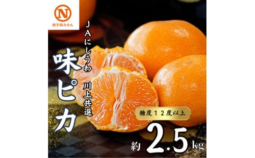 JAにしうわの季節の柑橘(川上共選　味ピカ2.5kg)＜C08-78＞【1510453】 1354415 - 愛媛県八幡浜市