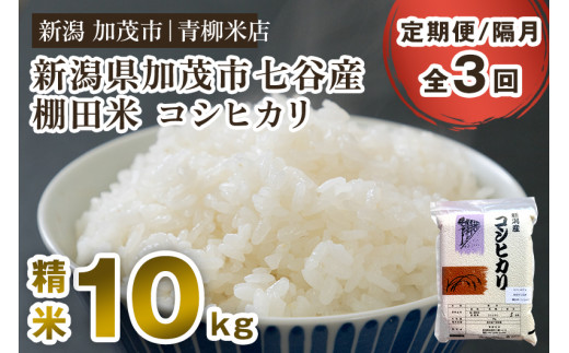 【令和6年産新米】【定期便3回隔月お届け】新潟産コシヒカリ 加茂市七谷産 棚田米 精米10kg（5kg×2）白米 真空パック 青柳米店 定期便 1013832 - 新潟県加茂市