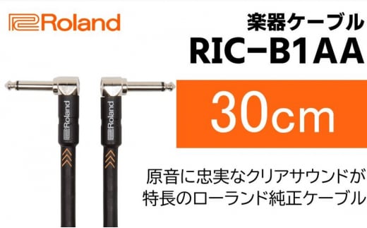 【Roland純正】楽器ケーブル 30cm/RIC-B1AA【配送不可：離島】 [№5786-5954]
